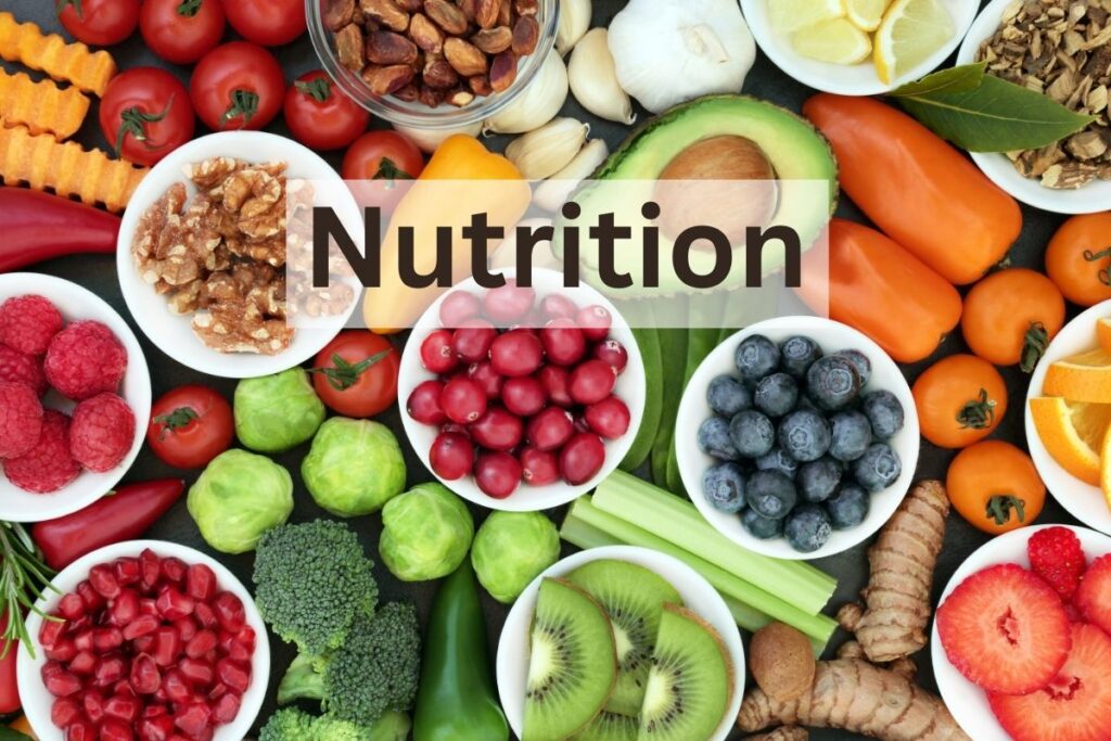 Nutritious food to nurture our bodies to thrive in our nurse life.